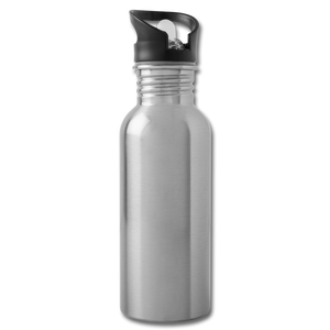 Water Bottle - silver