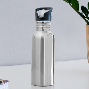 Water Bottle - silver